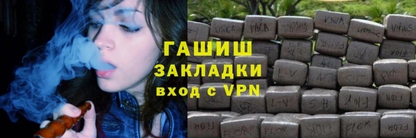 гидра Елабуга