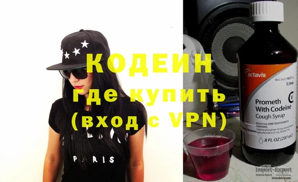 СК Елизово