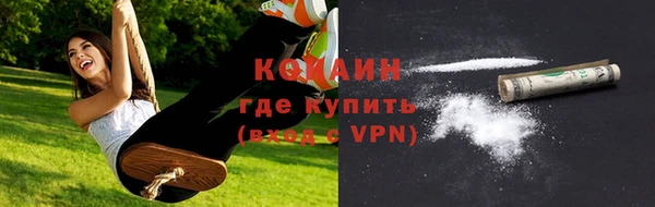 СК Елизово
