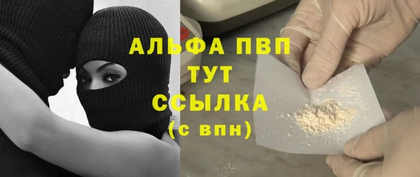СК Елизово