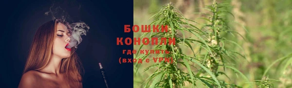 не бодяженный Ельня