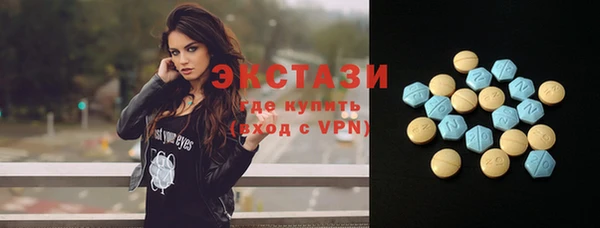 СК Елизово
