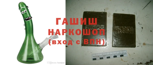 гидра Елабуга