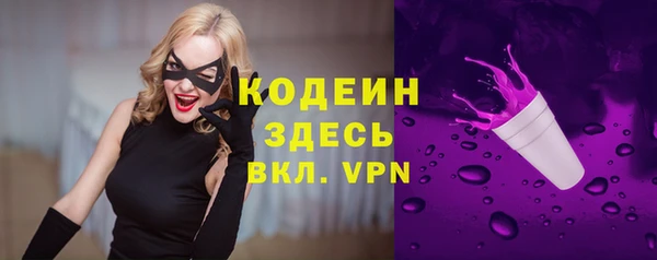 гидра Елабуга