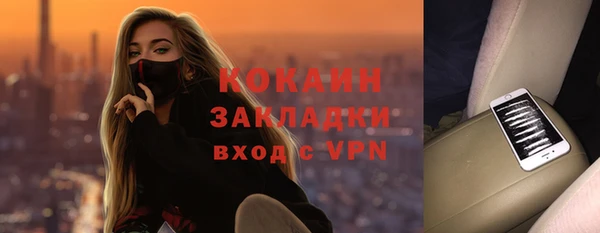 гидра Елабуга