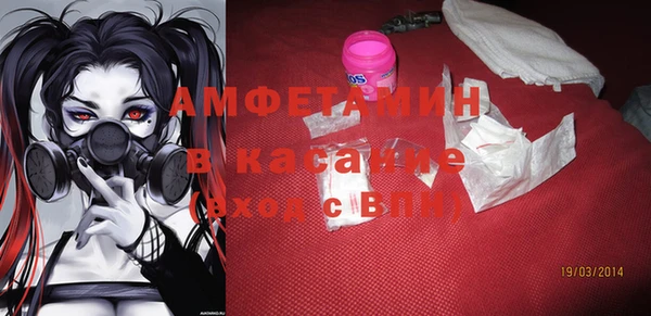 гидра Елабуга