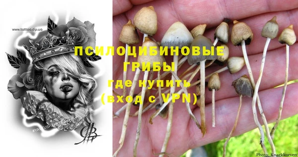 не бодяженный Ельня