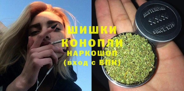 гидра Елабуга