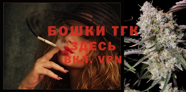 гидра Елабуга