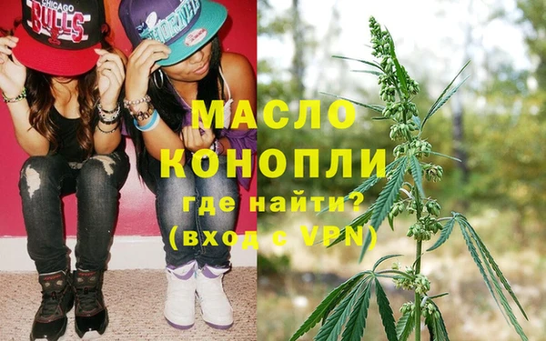гидра Елабуга