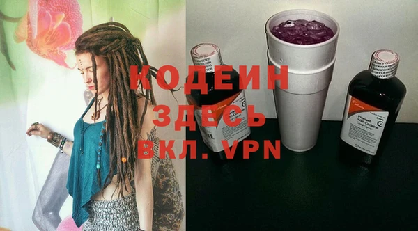 гидра Елабуга