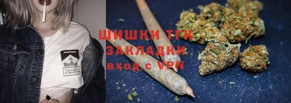 СК Елизово