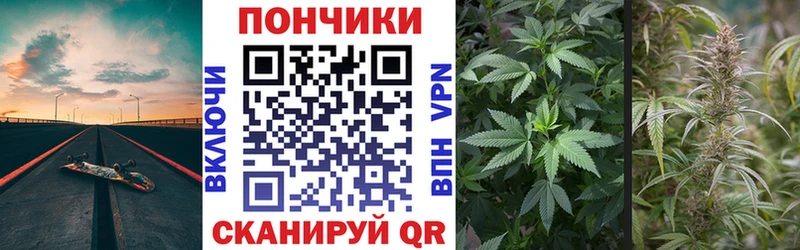 Бошки Шишки ГИДРОПОН  Купить где  Сим 